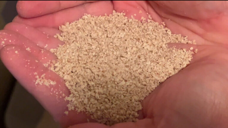 All natural clumping cat litter in a clean litter box with a cat nearby