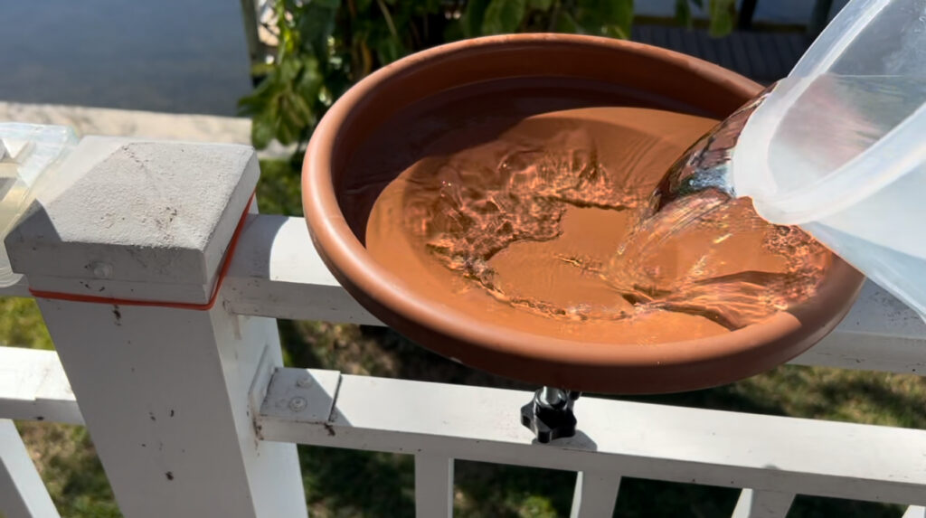 Pouring water into bowl