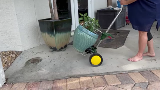 Adjustable heavy-duty plant dolly holding large outdoor planter.