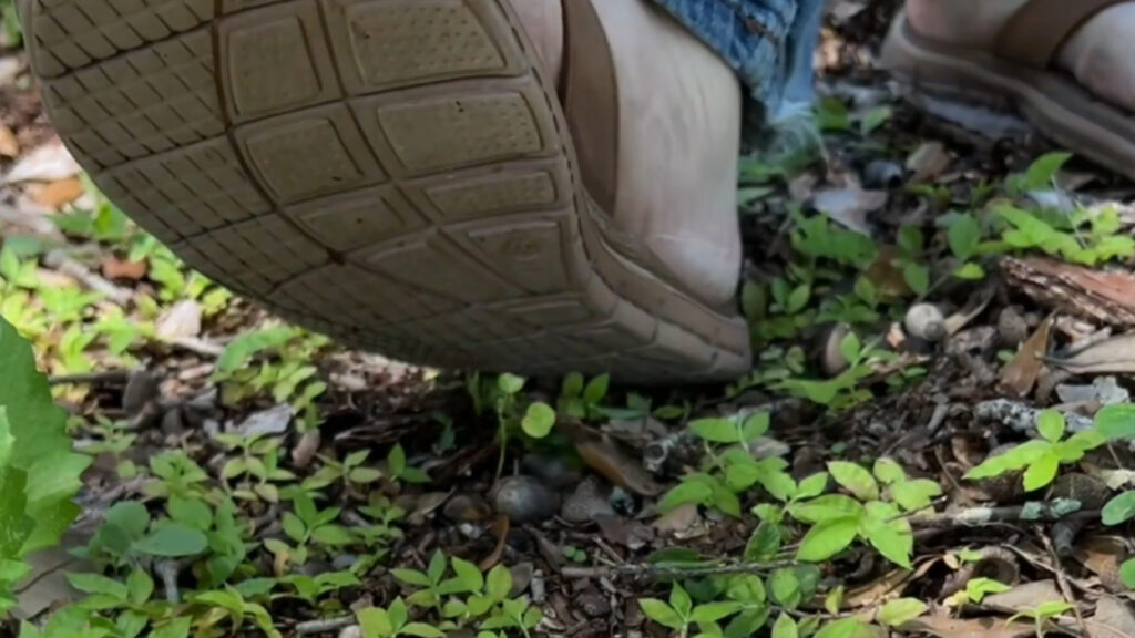 tread on bottom