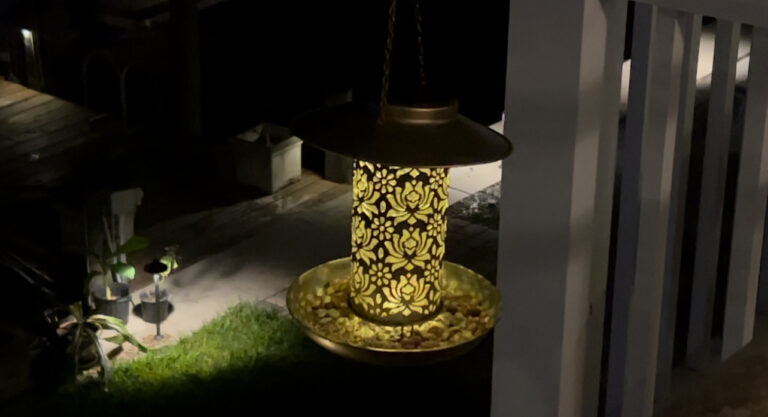 Solar bird feeder hanging outdoors with birds perched on it, glowing softly at night.