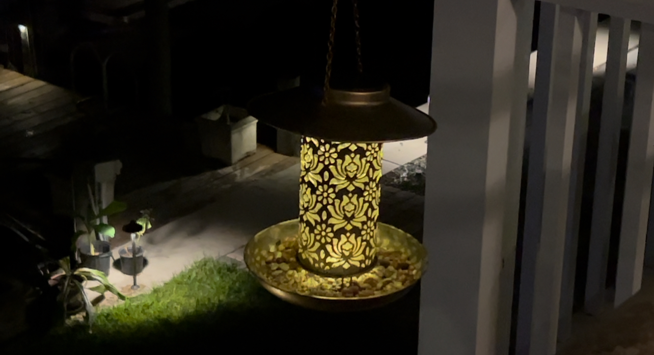 Solar Bird Feeder Review | Cute Hanging Feeder with Night Glow
