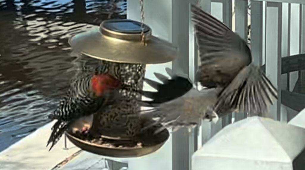 everyone is hungry