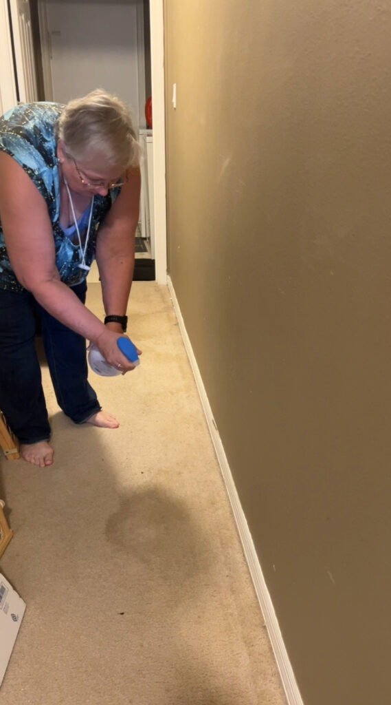 Pooph pet odor eliminator spray bottle on carpet stain.