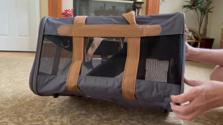 Soft-sided travel pet carrier with sturdy hardware and mesh ventilation.