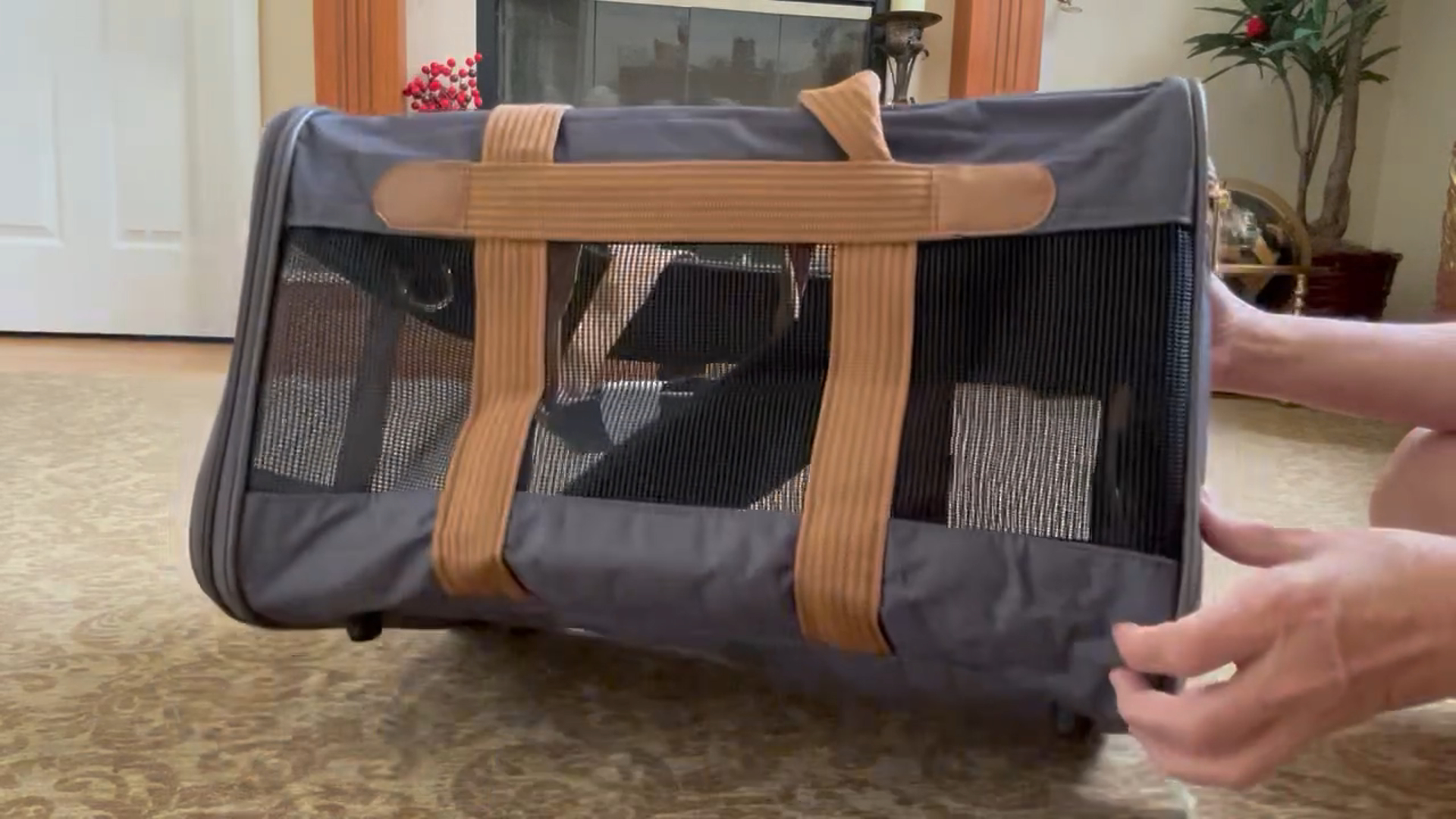 The Soft-Sided Pet Carrier We Use for Our Cats (and Why I Like It)