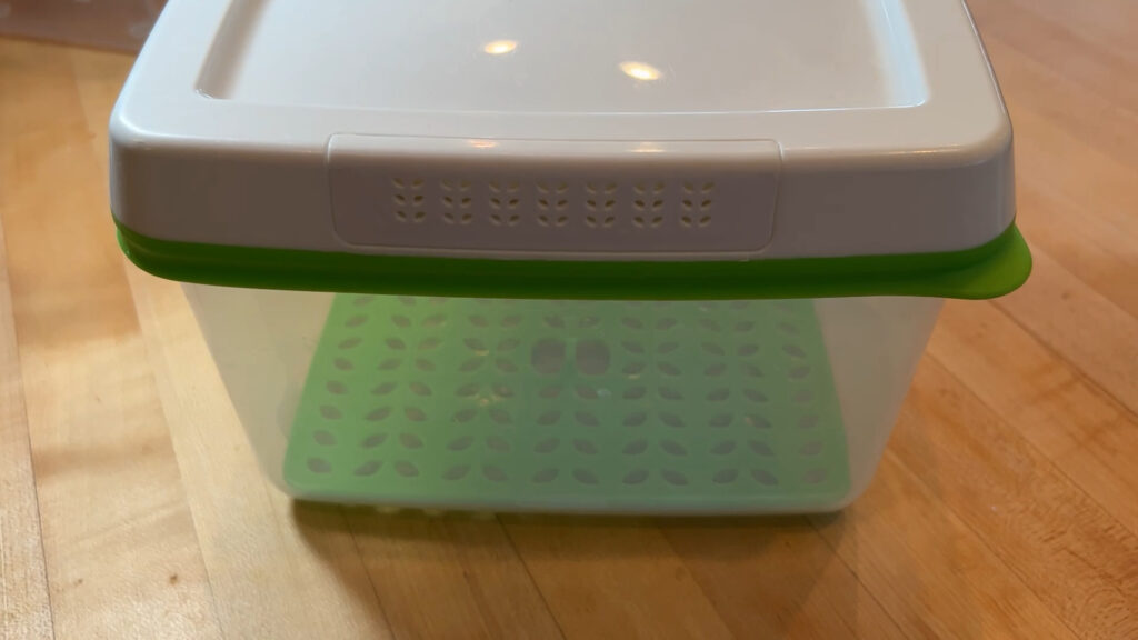 Rubbermaid Produce Saver with lid