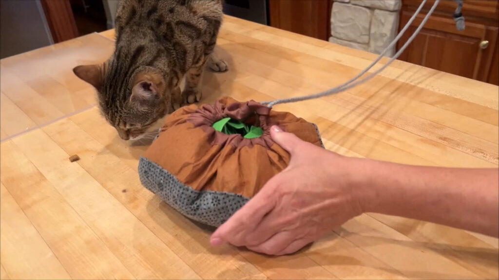 draw string closing