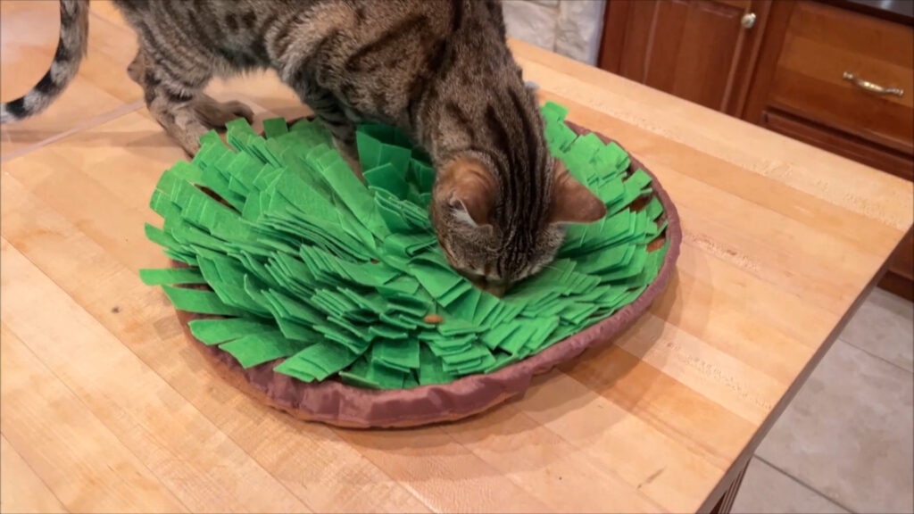 sniffing out the treats
