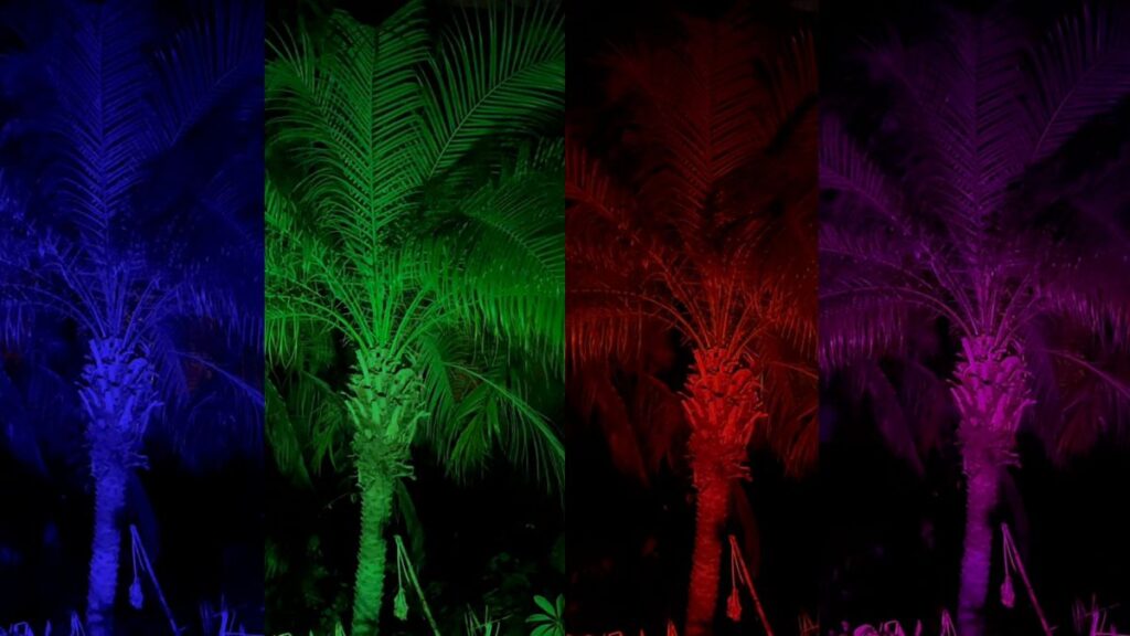 The colors are so vibrant