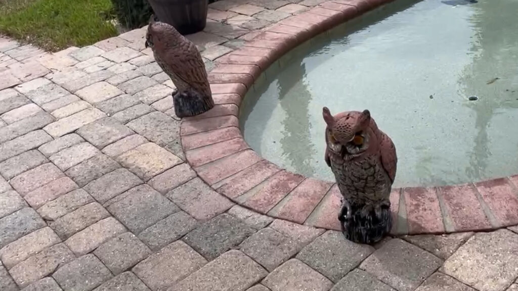 moving the owls around is easy