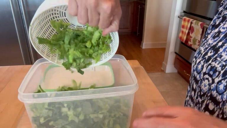 Rubbermaid Produce Saver container keeping lettuce fresh in the fridge.