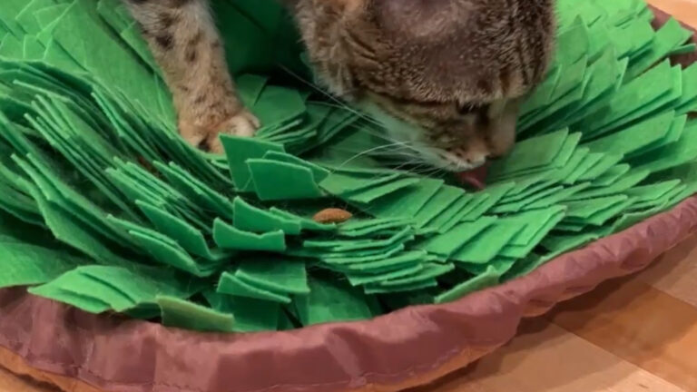 Pet snuffle mat with felt folds and drawstring design for cats and dogs.