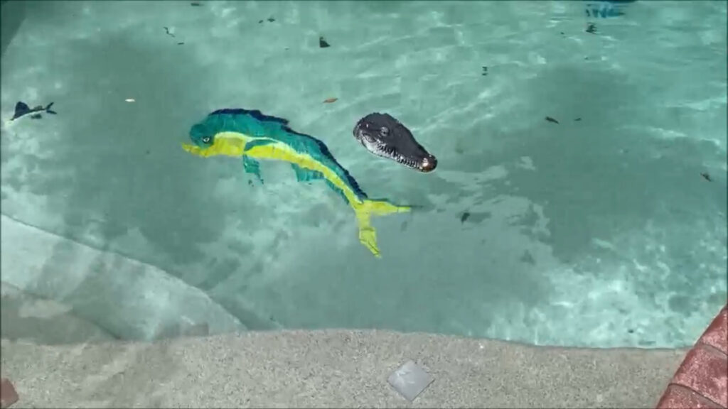 floating close to steps