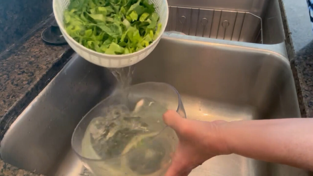 Salad Spinner in action

