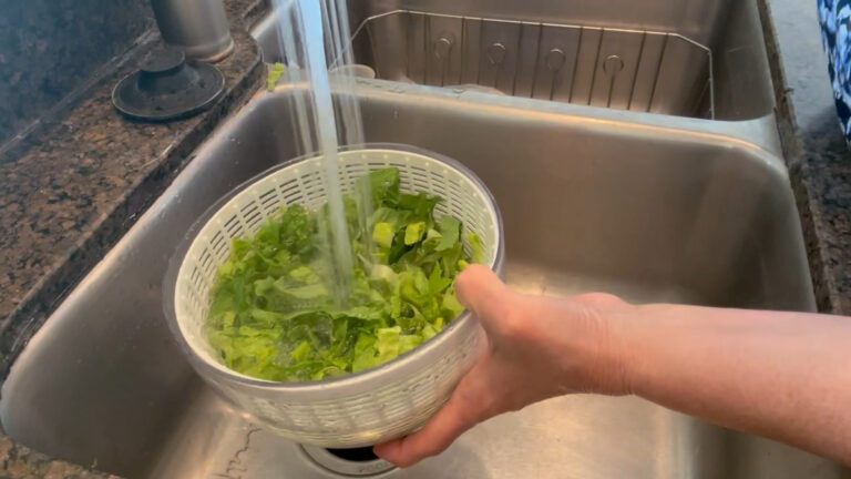 Salad spinner with clear plastic bowl and green lettuce drying inside.