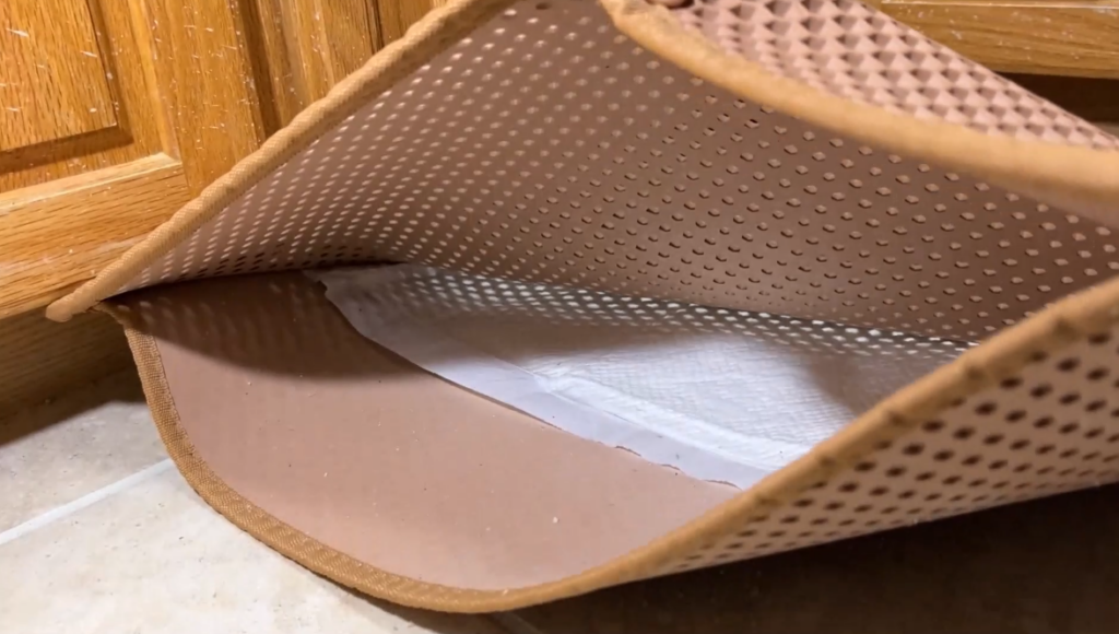 pee pad inside