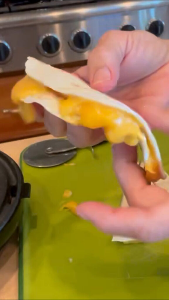 Fresh out of the quesadilla maker
