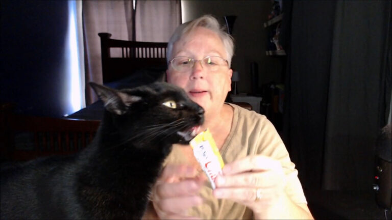 cat licking Churu squeeze treat from tube