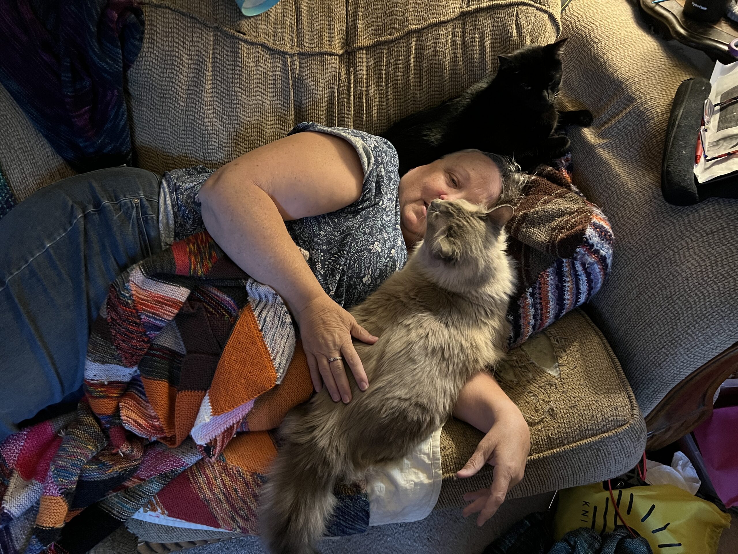 I Have Napped Everywhere and I Regret Nothing