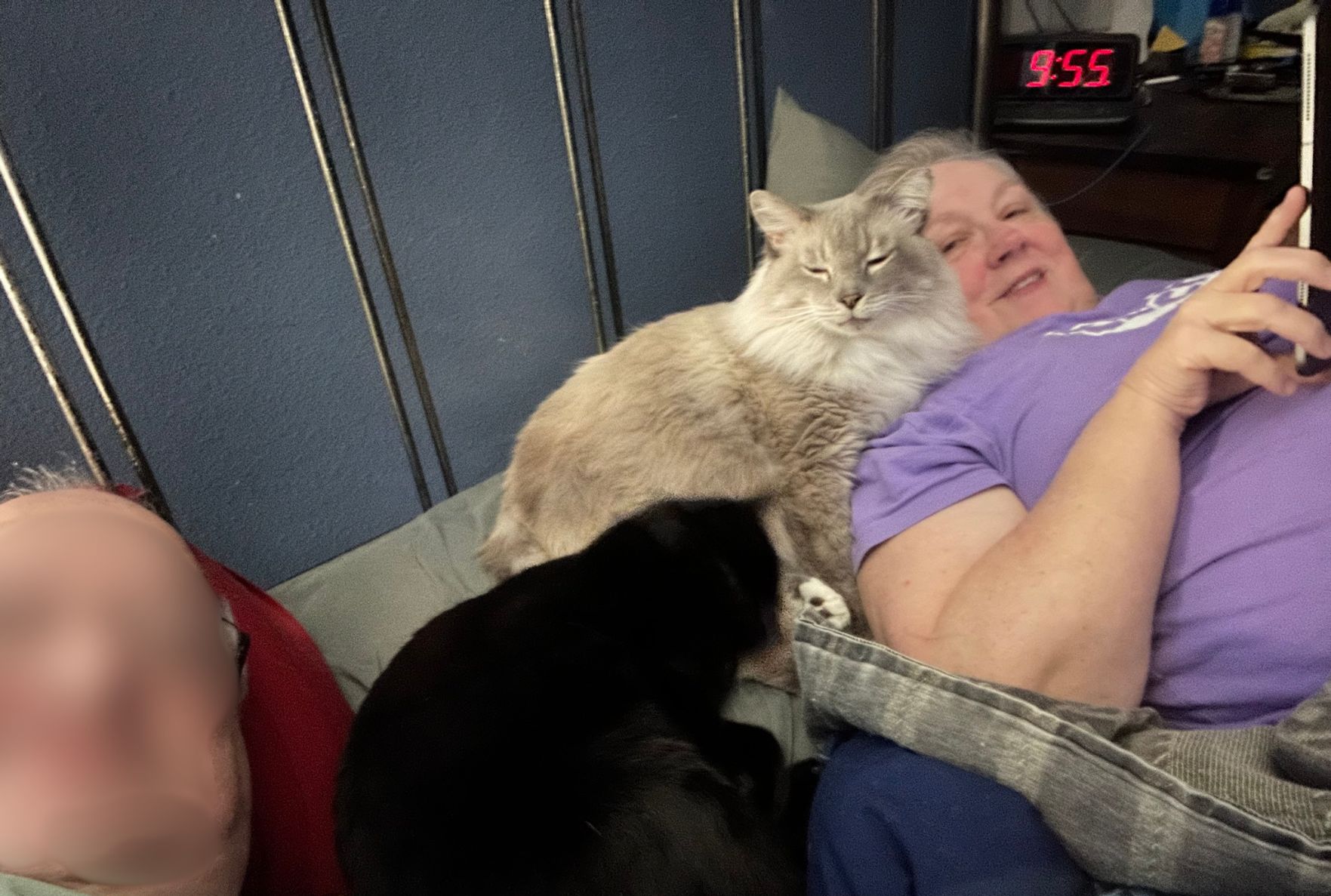 Scrolling before bed