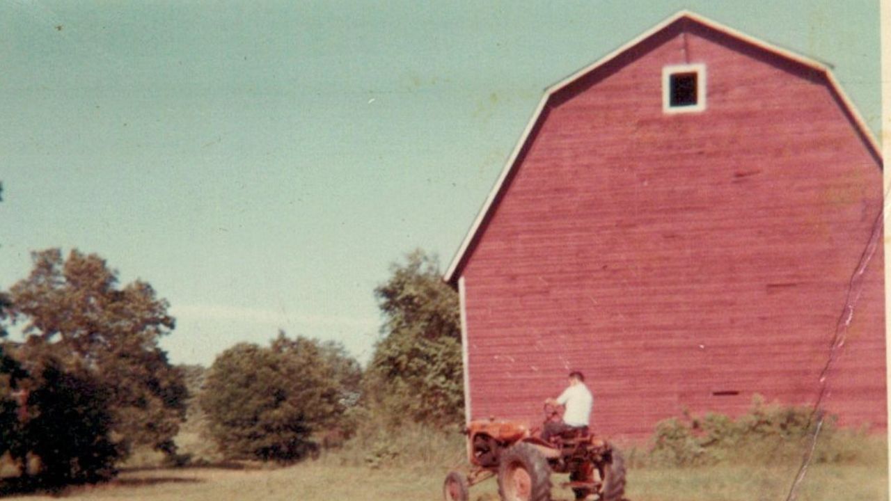 Growing Up on a Pig Farm in the 70s Teaches You Some Things