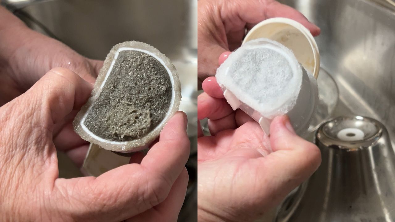 How Often Should You Change Your Cat Fountain Filter? Here Is What Mine Looked Like